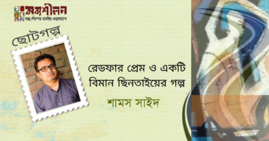 গল্প।। রেডফার প্রেম ও একটি বিমান ছিনতাইয়ের গল্প।। শামস সাইদ